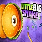 Little Big Snake